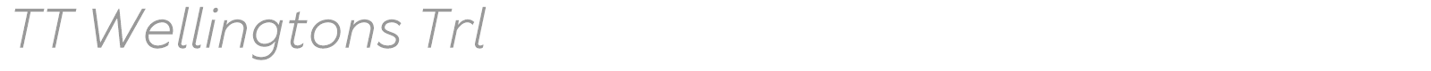 TT Wellingtons font preview